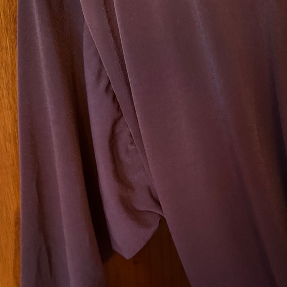 NWT Express Burgundy Jumpsuit - Picture 3 of 4